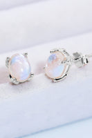 Natural Moonstone 4-Prong Stud Earrings