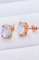 Natural Moonstone 4-Prong Stud Earrings