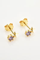 Zircon Star Stud Earrings